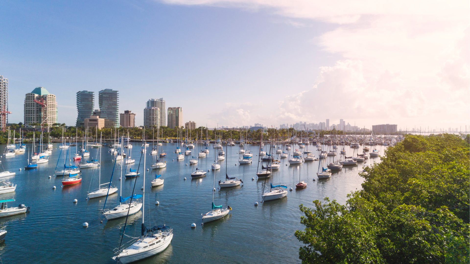 Untitled design (13)