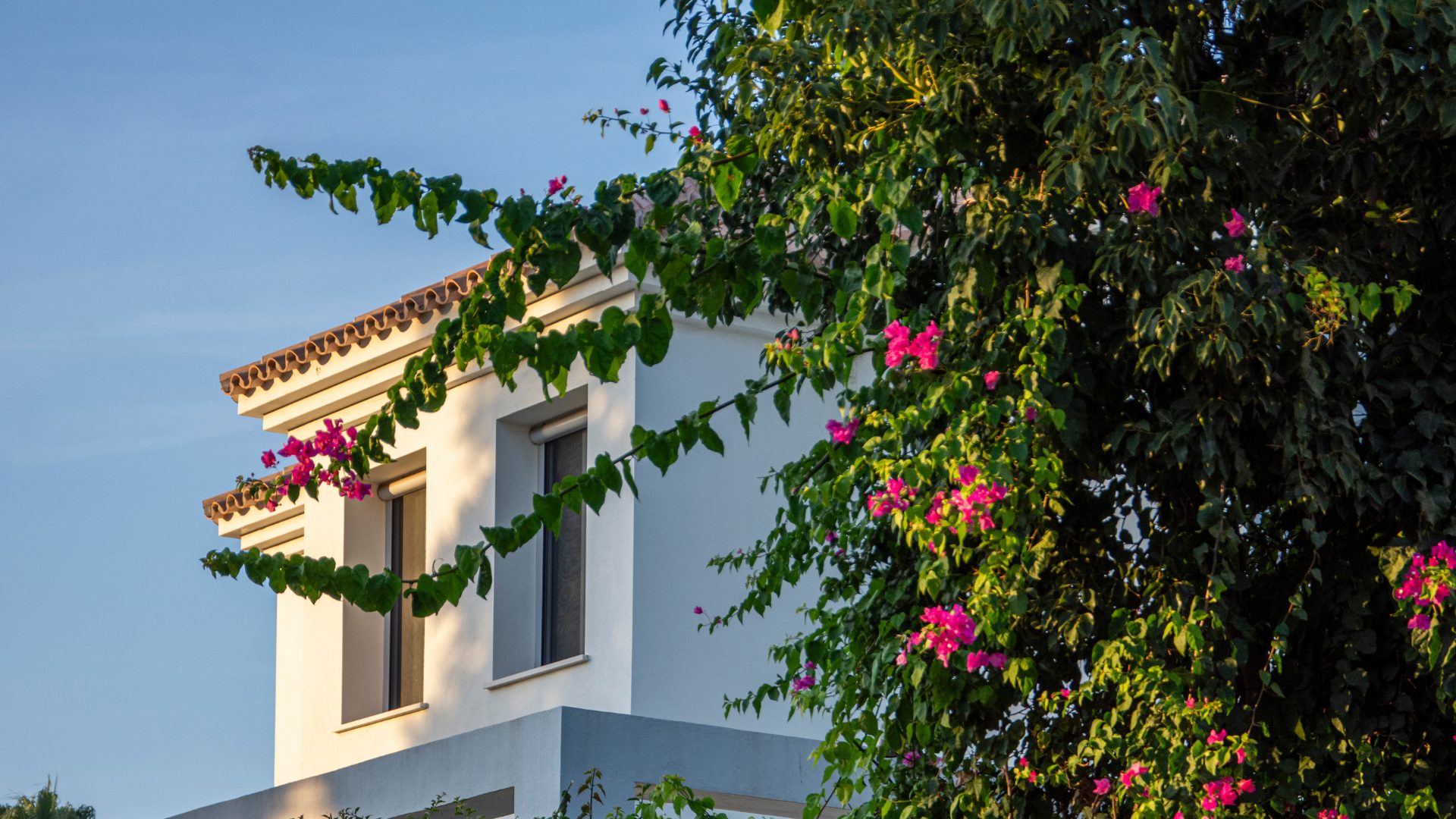 Untitled design (15)