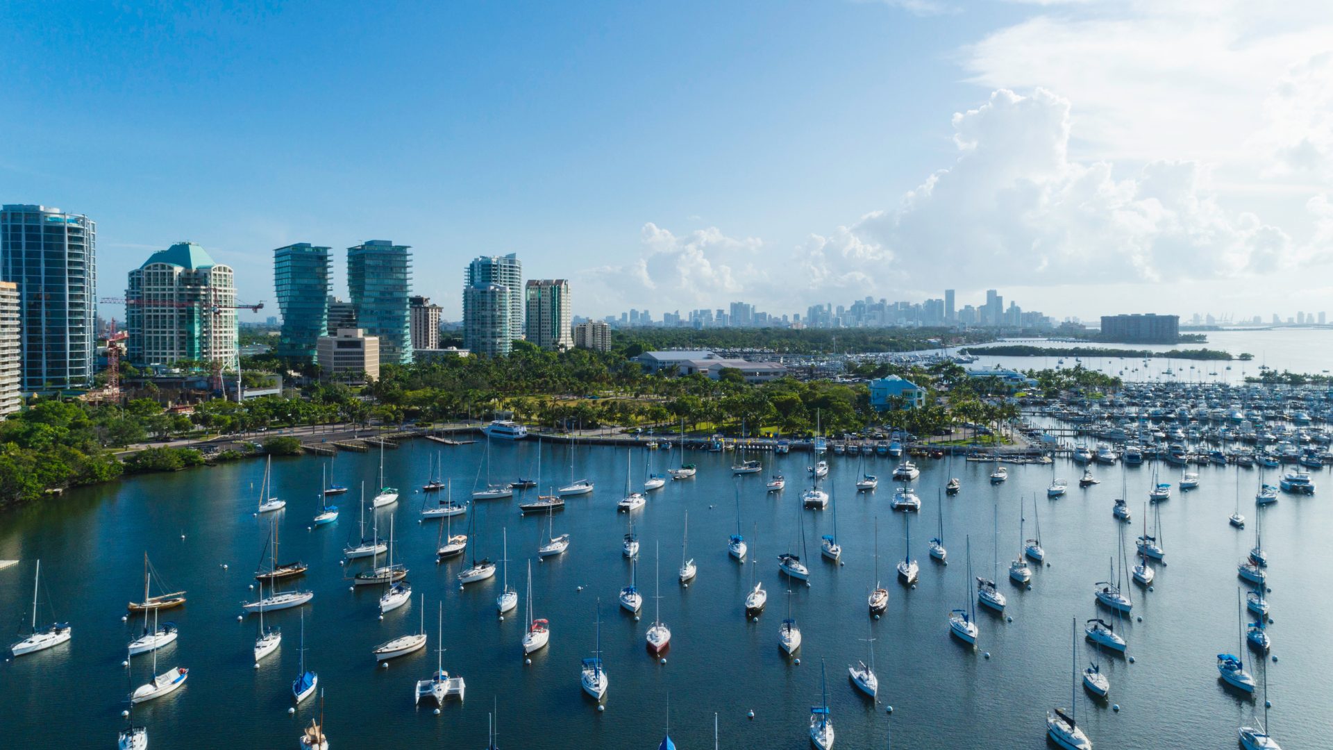 Untitled design (22)